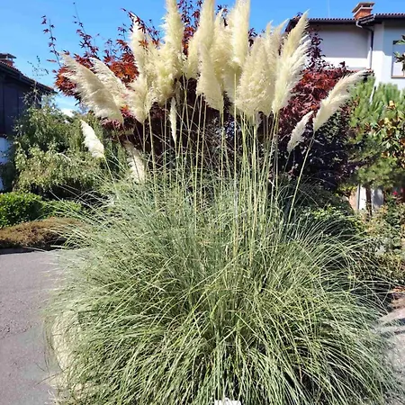 санта марина-сладка къща Созопол