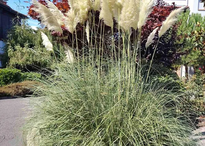 санта марина-сладка къща Созопол